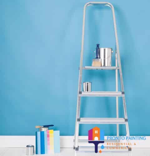 Previous-Jobs-Pronto-painting3